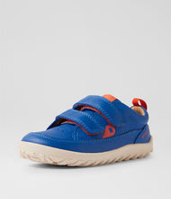 Calzado barefoot I-Walk Dawn en azul brillante para niño, de BOBUX ESPAÑA Y PORTUGAL, con suela flexible y diseño cómodo.