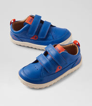 Zapatos barefoot I Walk Dawn Dazzling Blue para niño de BOBUX ESPAÑA Y PORTUGAL, calzado cómodo y flexible para niños.