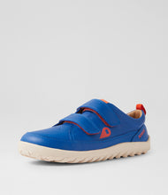Calzado barefoot Kid+ Dawn Dazzling Blue para niños, unisex, de BOBUX ESPAÑA Y PORTUGAL, con diseño cómodo y color azul brillante.